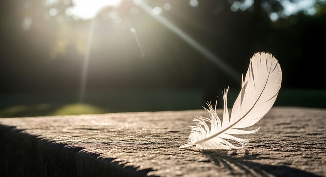A single white feather backlit by golden hour sunlight. Spiritual concept of hope, freedom, and epiphany
