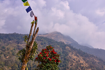 A colorful prayer flags adorns a tree in the Himalayas, with a rhododendron bush blooming nearby during a trekking adventure on the route to Annapurna Base Camp.