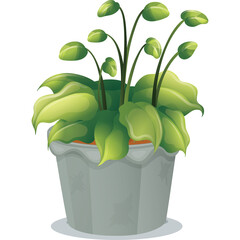 A Vibrant Green Potted Plant with Broad Leaves and Delicate Shoots in a Gray Decorative Pot with a Transparent Background