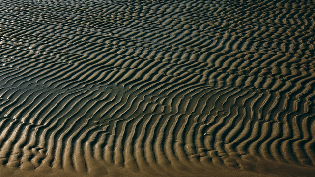 ripples of sand at the beach