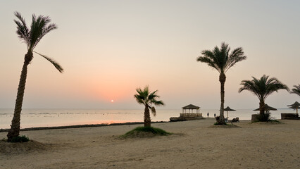 Golden sunrise over a Red Sea beach at an Egyptian resort with palm trees and sun umbrellas.