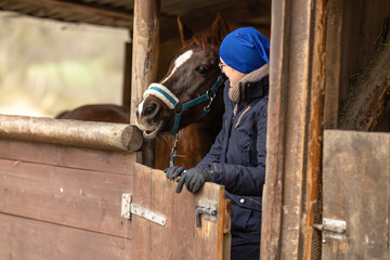 Female equestrian taking her horse out of the stable box during winter, preparing for groundwork and training