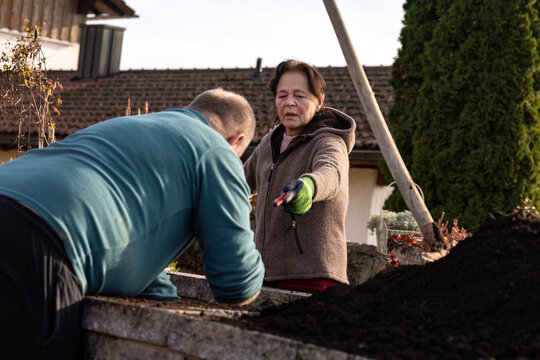 Senior woman and man working together in the garden during late autumn, preparing soil and organizing planting beds outdoors