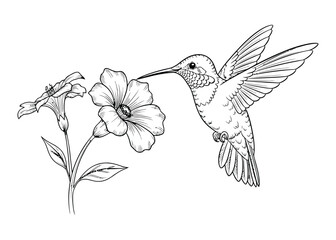 Detailed Line Drawing of a Hummingbird with Flowers – Elegant Nature and Wildlife Illustration