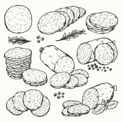 Hand drawn sliced smoke sausage salami outline drawing vector illustration