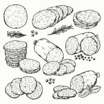 Hand drawn sliced smoke sausage salami outline drawing vector illustration
