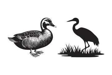 Obraz premium Vintage style illustration of a duck and a crane silhouette