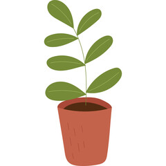 A Potted Plant With Green Leaves On A Transparent Background Isolated Simple Illustration Style Botanical Element