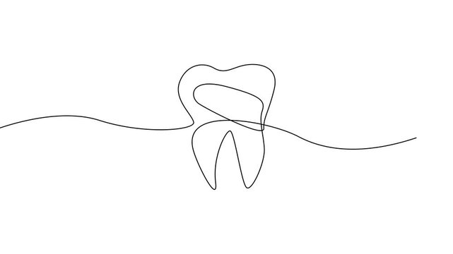 Tooth One Line Drawing Illustration Animation