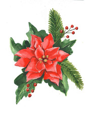 Watercolor hand-drawn illustration of red poinsettia. Botanical christmas illustration for postcards, invitations.