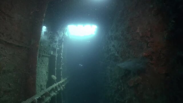 a diver swims through WWII ship wreck underwater in Coron island, Philippines