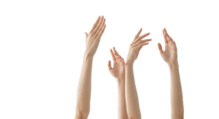 Four human hands reaching upwards with open palms and fingers spread isolated on a transparent background