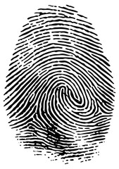 Fingerprint identification in forensic science