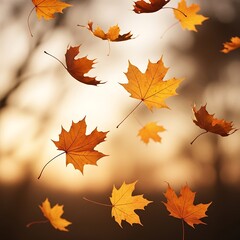 Autumn Leaves Falling in a Gentle Breeze.