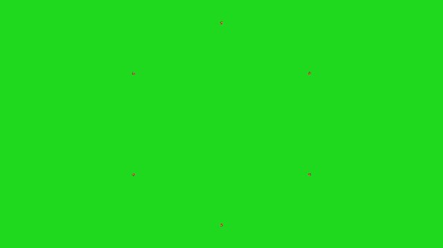 Transition animation of a gingerbread head enlarging to cover the green screen
