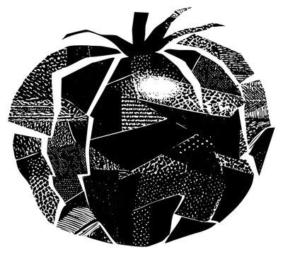 Tomato Illustrates Texture in Composition - Powered by Adobe