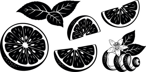 Naklejka premium Black and white lemon slices with leaves and flower vector illustration