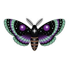 Celestial starry moth clipart. Cartoon illustration isolated on white background.