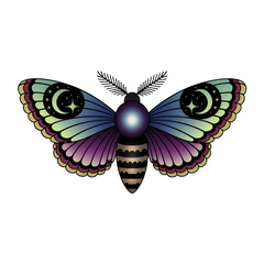 Celestial ornate moth clipart. Cartoon illustration isolated on white background.