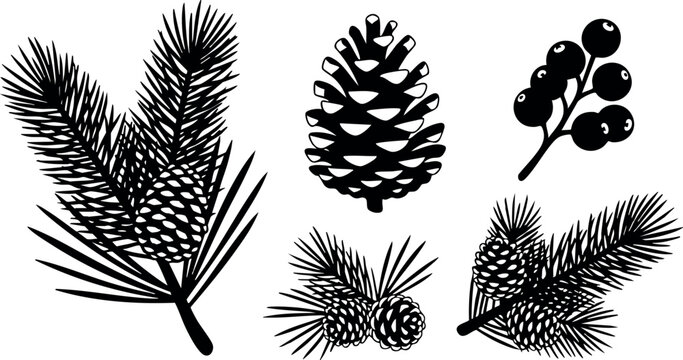 Pine cones and evergreen branches silhouette vector set