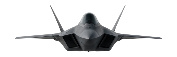 Stealthy multirole fighter featuring curved air ducts and angular surfaces.