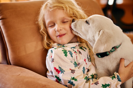 Young girl in Christmas pajamas receives affectionate kiss from white Labrador puppy on couch