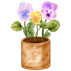 Watercolor garden pansies in brown pot isolated illustration for houseplants and floral décor lovers. Hand drawn viola clip art in pastel violet, pink and yellow colors. Blooming flowers drawing