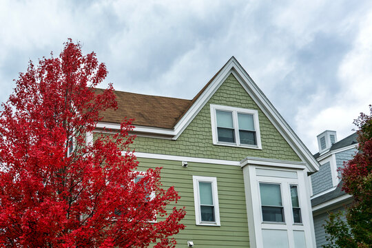 A single-family house facade with green siding stands beside a striking red autumn maple tree in the Brighton area of Boston, Massachusetts, USA
