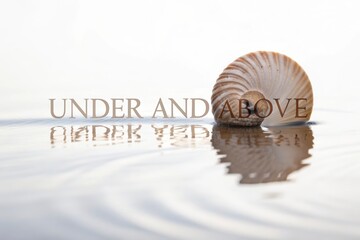 Nautilus shell half submerged with reflection and text