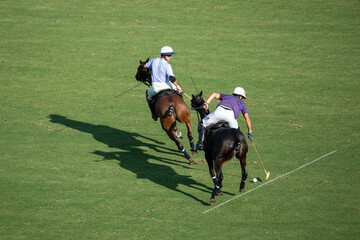 polo players on the field riding a horse during a match