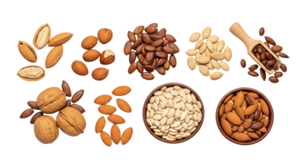 Assorted Nuts and Seeds Collection for Healthy Snacks.