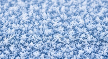 Obraz premium Close-up of delicate frost crystals forming a winter wonderland.