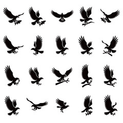 Diverse Set of Eagle Silhouettes in Flight and Hunting Action with Fish Prey