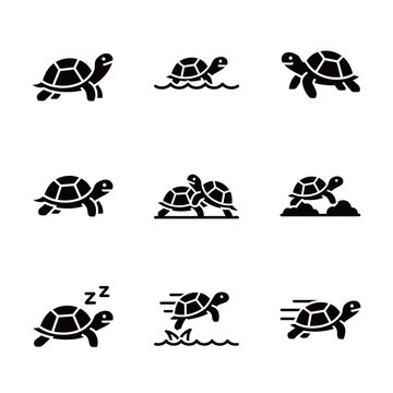 Black Silhouette Turtle Icon Set in Various Water and Land Activities