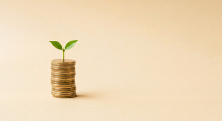 Innovative eco-friendly growth and investment strategies for sustainable business success, financial opportunities, and modern market development solutions