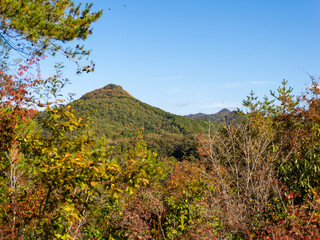 紅葉した木々と有馬富士の風景