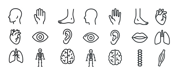 Medical line icons set: anatomy and human body parts symbols