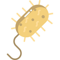 Illustration of a single tan colored bacillus bacterium with flagellum and wavy internal structures on a transparent background scientific medical concept