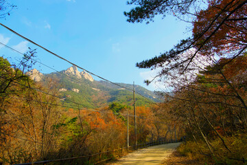 A clear day of rocky mountains and autumn trails