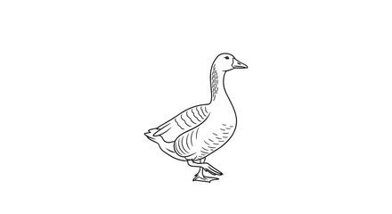 Elegant goose illustration, perfect for nature guides, farm branding, or children's books
