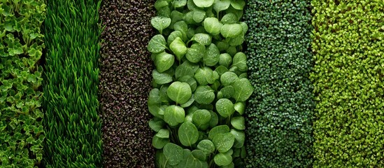 A close-up of a vertical garden with various types of lush, vibrant greenery