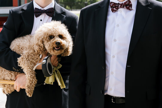 Two people dressed in formal black suits with bow ties holding a fluffy poodle dog, creating a charming and elegant moment suitable for celebrations, events, or lifestyle themes.