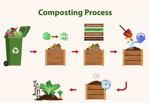Composting Process vector Illustration, Step-by-Step Organic Waste Recycling with Green Nitrogen Materials, Brown Carbon Materials, Moisture, Aeration, and Finished Compost for Gardening