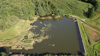 農村の外れにあるため池