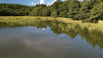 農村の外れにあるため池