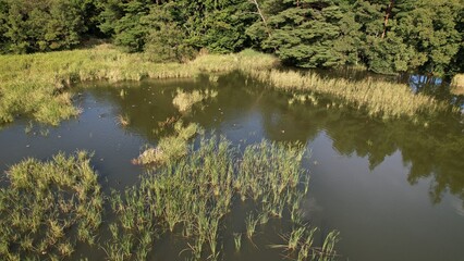 農村の外れにあるため池