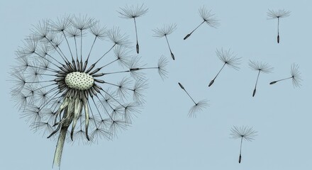 Delicate Dandelion Seeds Drifting on a Light Blue Background, Hand-Drawn Style