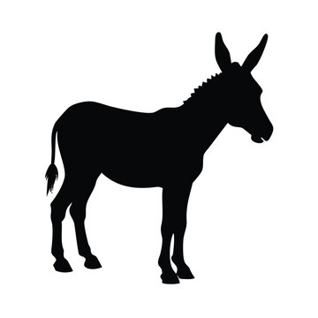 A black silhouette of a donkey stands on a white background.