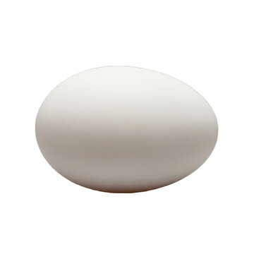 A single, perfect, raw, white duck egg, larger and paler than a chicken egg, centered with soft, even lighting emphasizing its smooth, matte shell. Ideal for culinary blogs, healthy recipes, Easter,