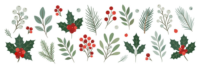 Set of festive winter vector plants. Decorative collection of holly, mistletoe, pine branches, and red berries for Christmas, holiday, and seasonal greeting card design.